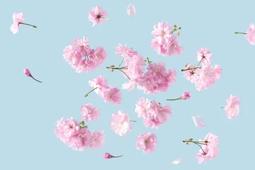 Rolgordijnen Spring flowers fly on a blue sky background. Beautiful pastel pink flower arrangement. Summer aesthetic concept. © Bozena Milosevic