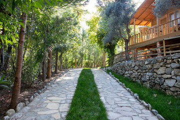 Garden path with green grass and trees on a sunny day. Stone walkway in the park with trees in the background. Stone walkway in the garden of a country house. 