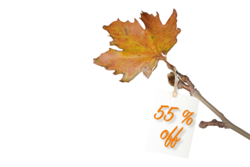 Label with fifty-five  percent discount on ticket, discount tag with yellowed leaf on twig. Autumn or winter sale concept idea.