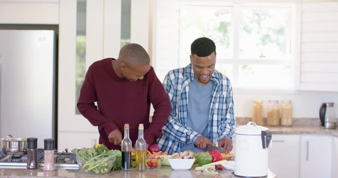 Happy african american gay male couple preparing dinner, chopping vegetables in kitchen, slow motion