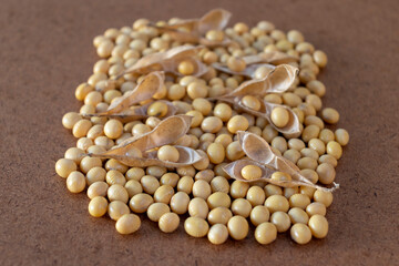 Mature soybean seeds with soybeans in the pod. Opened soybean pod on the background of dry soybeans. Soybean pods in dried soybean.