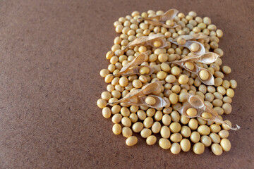 Mature soybean seeds with soybeans in the pod. Opened soybean pod on the background of dry soybeans. Soybean pods in dried soybean.