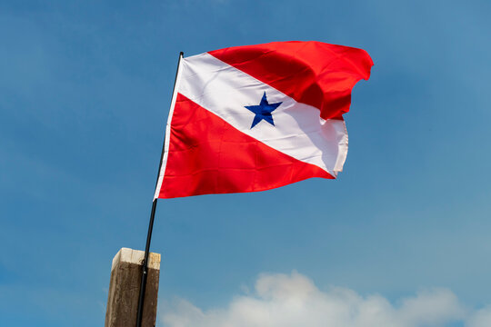 Para state (Brazil) flag waving in blue sky