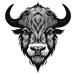 Buffalo vector