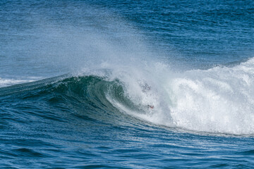 Bodyboarder surfing ocean wave