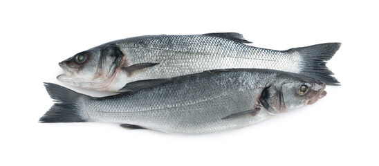 Fresh sea bass fish on white background, top view