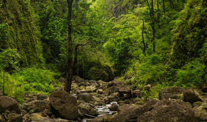 A small stream with rocks surrounded by green mountains. Jungle nature in Hawaii hike.
