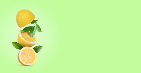 Cut fresh lemons with leaves falling on light green background, space for text. Banner design