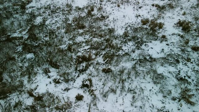 冬の九頭竜川 福井市 北陸新幹線 高架 河川敷 木の伐採 雪 雪原 ドローン 空撮 川 俯瞰 雪の積もった町 