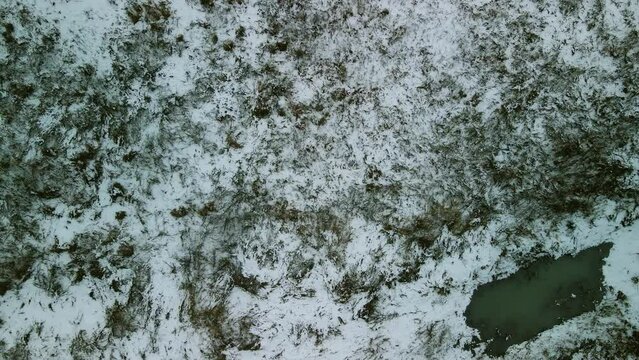冬の九頭竜川 福井市 北陸新幹線 高架 河川敷 木の伐採 雪 雪原 ドローン 空撮 川 俯瞰 雪の積もった町 