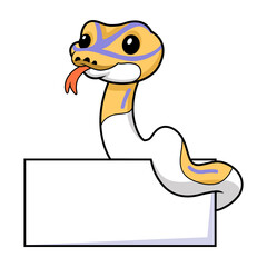 Cute banana pied ball python cartoon with blank sign