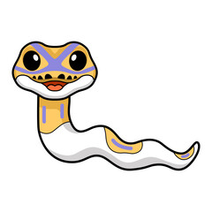 Cute banana pied ball python cartoon