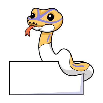 Cute banana pied ball python cartoon with blank sign