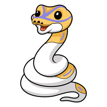 Cute banana pied ball python cartoon