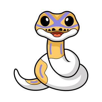 Cute banana pied ball python cartoon