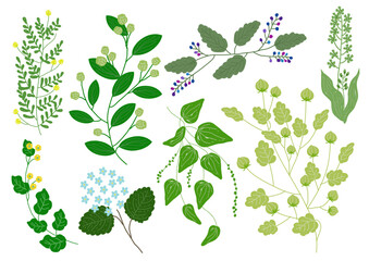 グリーン 蔓植物 あしらい セット