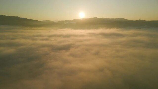 濃霧 霧 朝 冷え込んだ 雲海 雲 タイムラプス 夕日 元旦 早朝 幻想的 絶景 日の出 初日の出 春