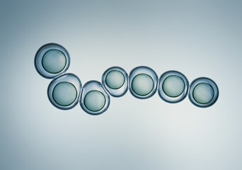 Cells division process, Cell divides into two cells	
