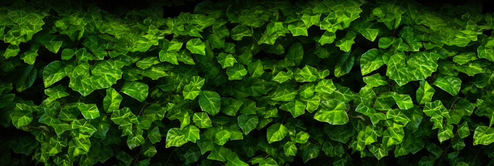 Fototapeta premium Panoramic background texture of green leaves. Generative AI