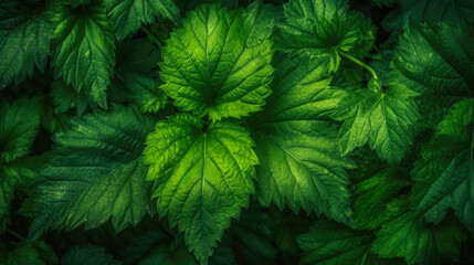 Background texture of green leaves close-up. Generative AI