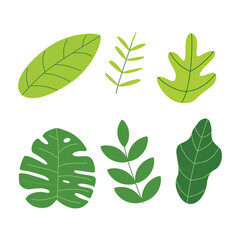 Green leaf icon illustration for nature theme