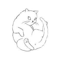 Cartoon line drawing of cat lay on its back.
