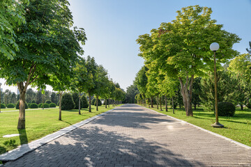 Awesome view of beautiful green alley in a city park