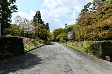 桜の季節の皇居