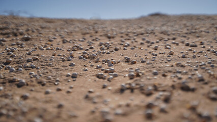 arena de caracoles