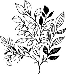 botanical leaf arrangement outline