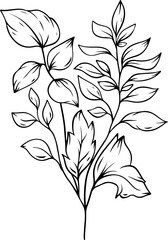 botanical leaf arrangement outline