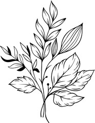 botanical leaf arrangement outline