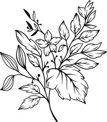 botanical leaf arrangement outline
