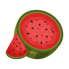 Watermelon in section and a slice of watermelon. Flat style vector illustration 