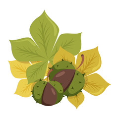 chestnuts with leaves. Vector isolated illustration on white background.