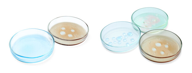 Set of Petri dishes with liquid samples isolated on white