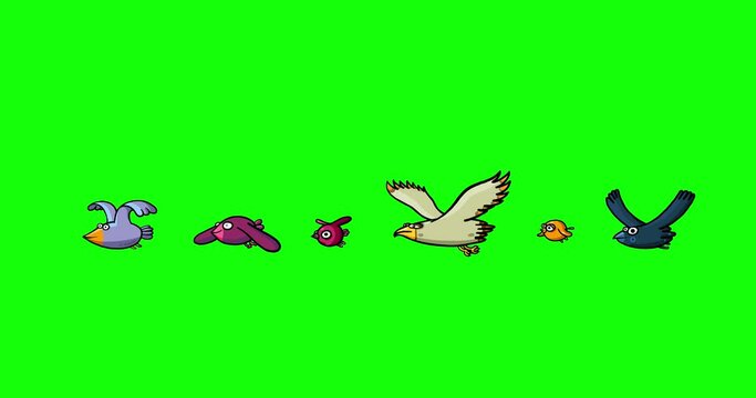 Flying birds - birdpack loop on green screen. Birds isolated good for any background and any use. 