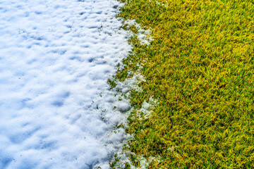 Green grass and white snow. Melting snow on the lawn, top view. Change of the winter season in...