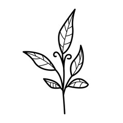 Hand drawn aesthetic outline leaves illustration