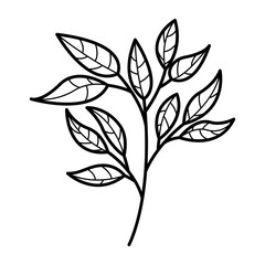 Hand drawn aesthetic outline leaves illustration