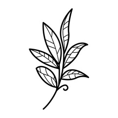 Hand drawn aesthetic outline leaves illustration