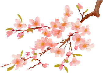Cherry Blossom Flowers Watercolor. Generative AI