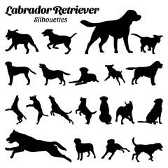Set Labrador retriever silhouette vector illustration.
