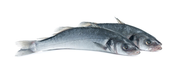 Fresh sea bass fish on white background