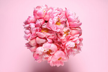 Bunch of beautiful peonies on pink background, top view