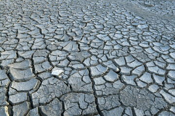 Dried wasteland with cracked brown mud surface. Closeup panorama with deep focus