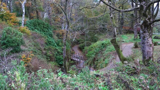 Static shot of a small, wooden bridge in the middle of a forest in autumn. Filmed in the castle grounds near Stornoway on the Isle of Lewis, part of the Outer Hebrides of Scotland.
