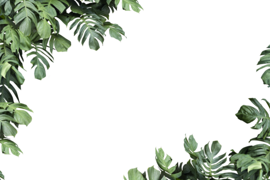 square frame surrounded by monstera leaves with copy space.