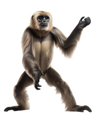 Fototapeta premium Beautiful Brown Gibbon Monkey, Standing Portrait. Generative AI