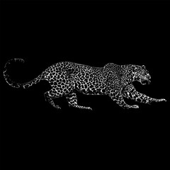 Javan Leopard hand drawing vector isolated on black background.